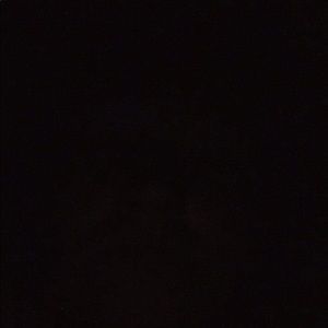 Meet your Posher, Shelia